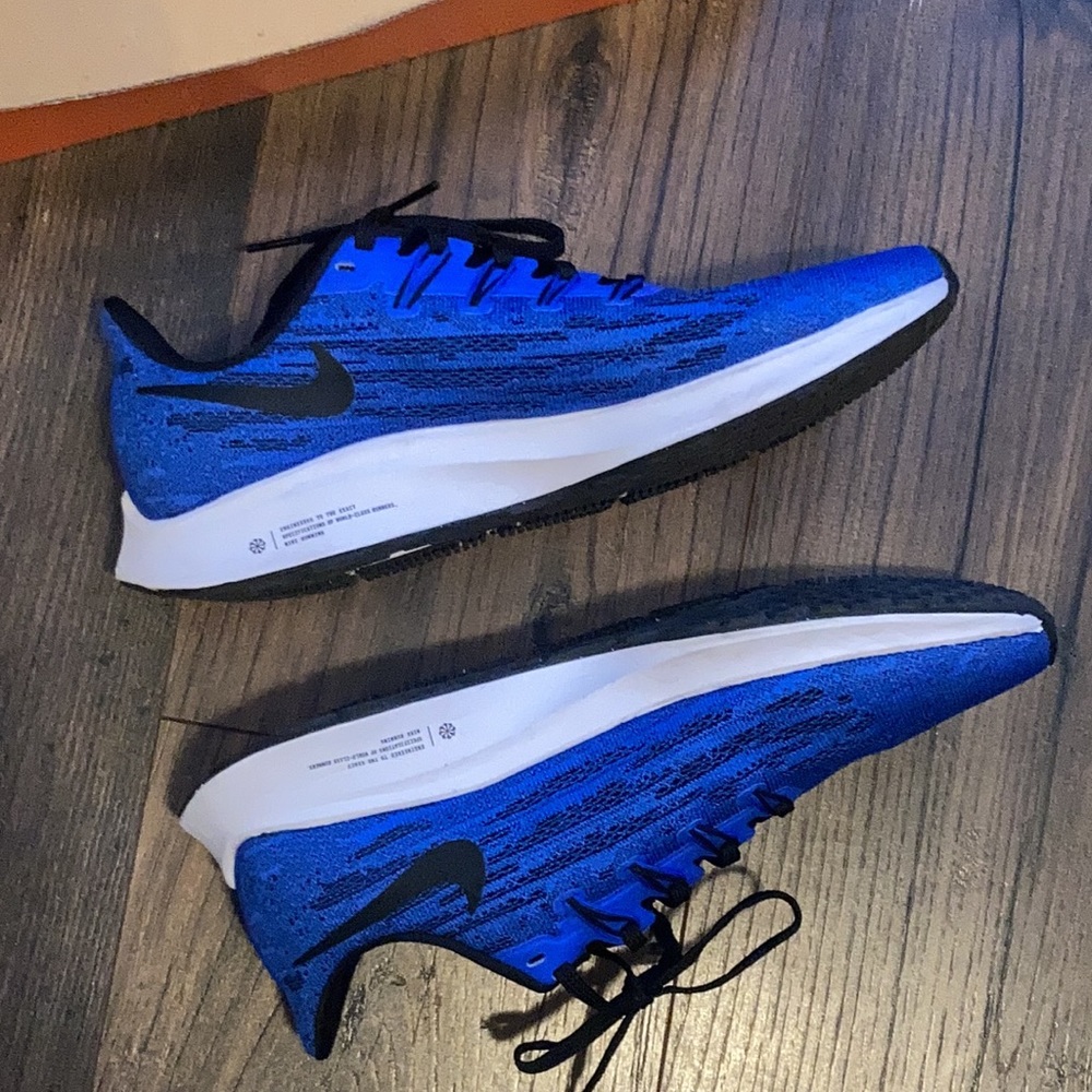 Nike zoom Pegasus